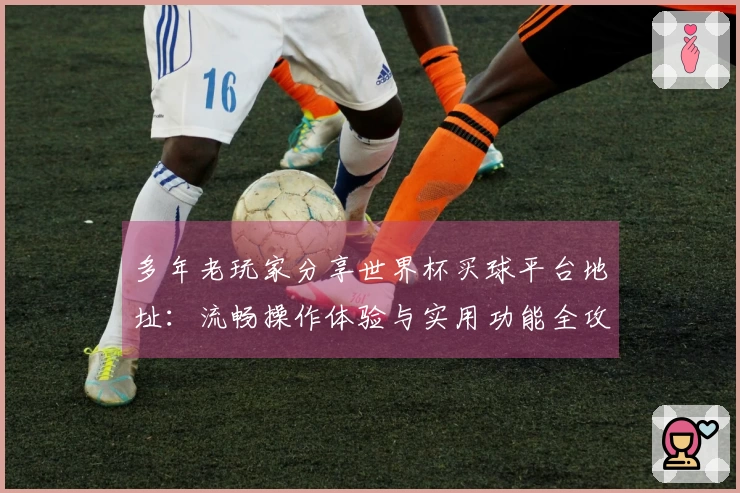 多年老玩家分享世界杯买球平台地址：流畅操作体验与实用功能全攻略