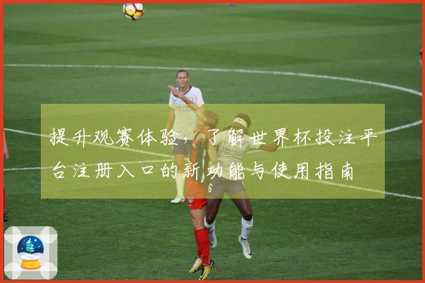 提升观赛体验，了解世界杯投注平台注册入口的新功能与使用指南