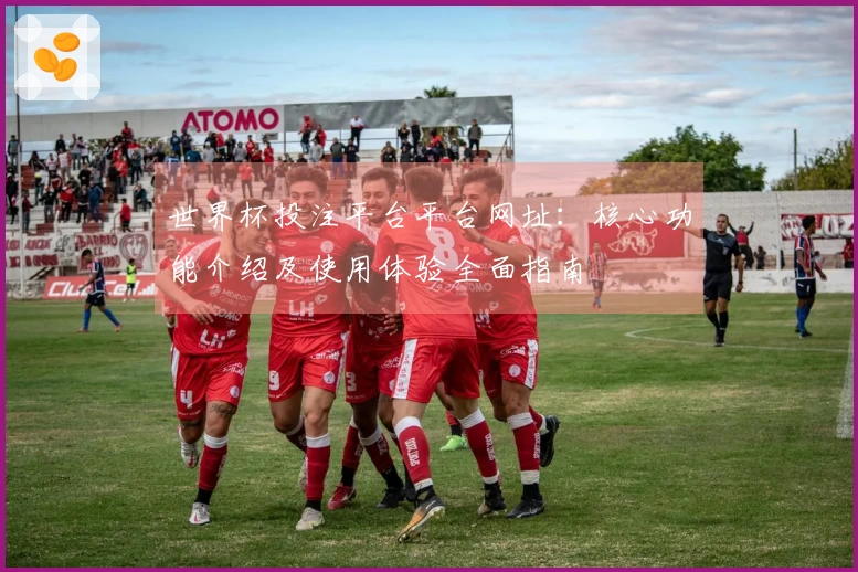 世界杯投注平台平台网址：核心功能介绍及使用体验全面指南