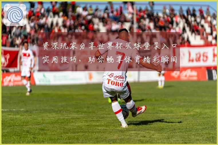 资深玩家分享世界杯买球登录入口实用技巧，助你畅享体育精彩瞬间