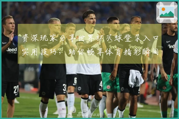 资深玩家分享世界杯买球登录入口实用技巧,助你畅享体育精彩瞬间